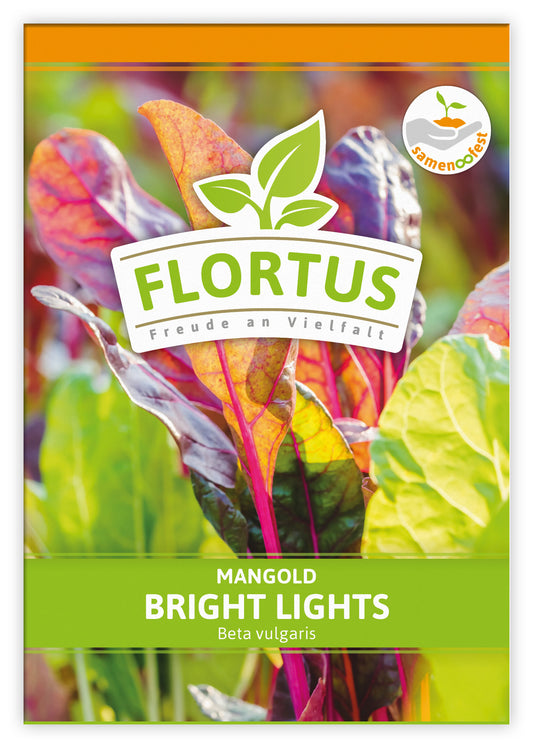 Mangold Bright Lights (100 Stück)