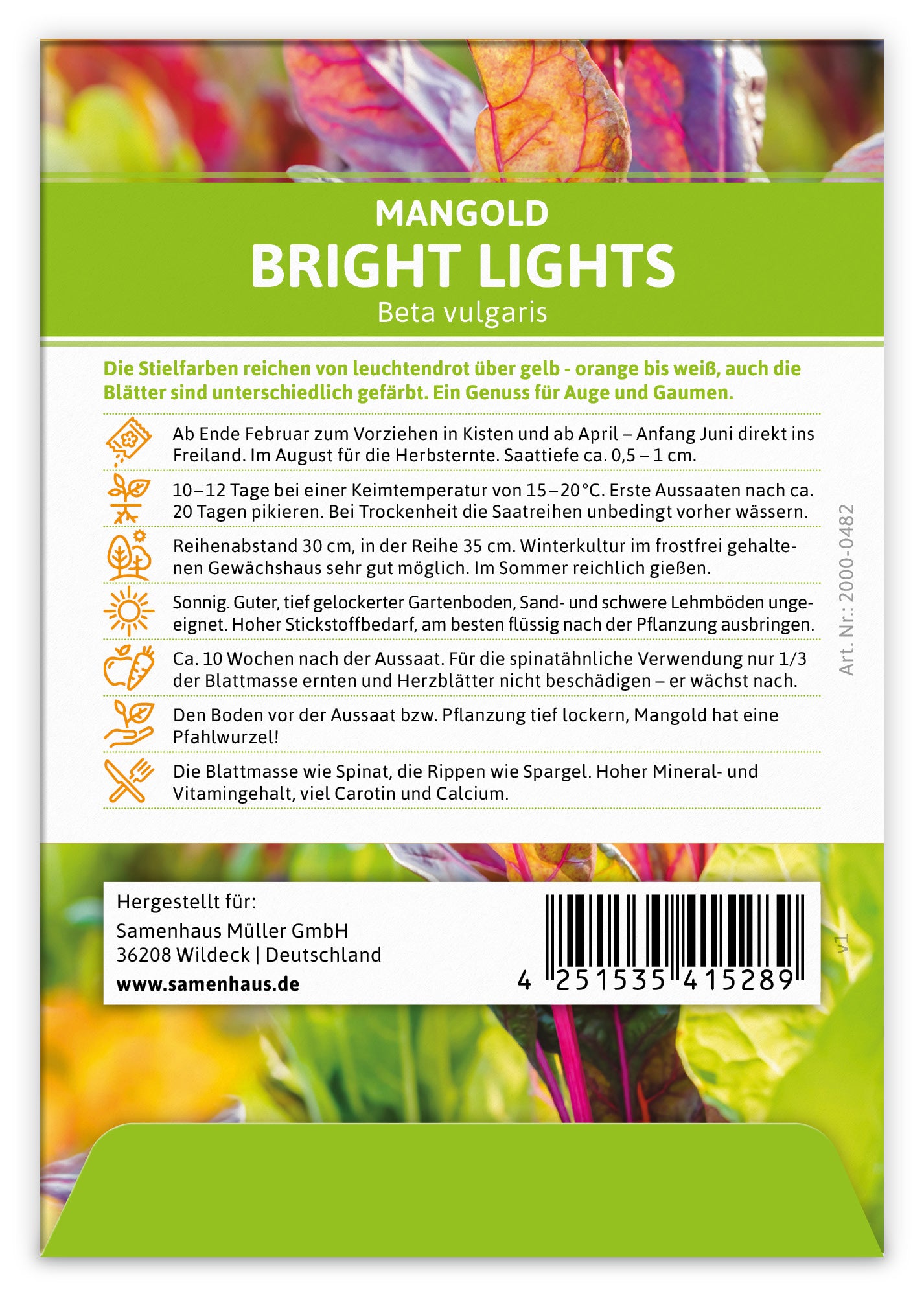 Mangold Bright Lights (100 Stück)