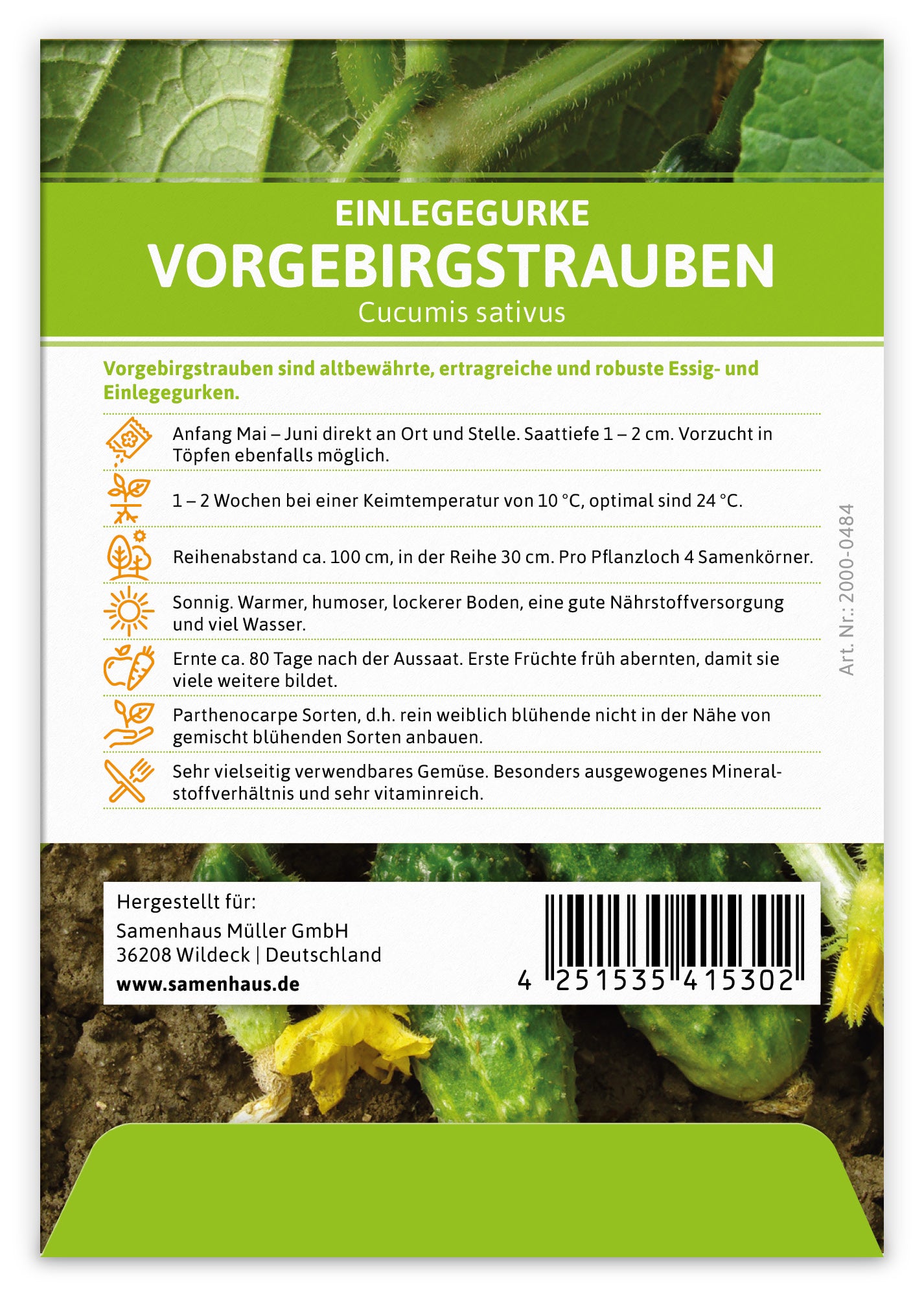 Einlegegurke Vorgebirgstrauben (100 Stück)