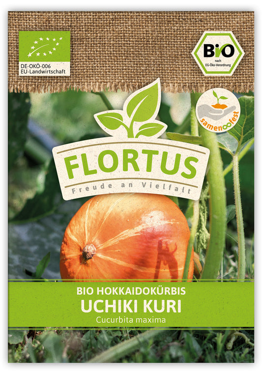 BIO Hokkaidokürbis Uchiki Kuri (100 Stück)