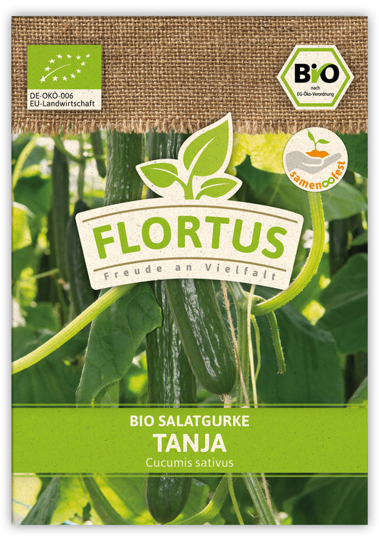 BIO Salatgurke Tanja (100 Stück)