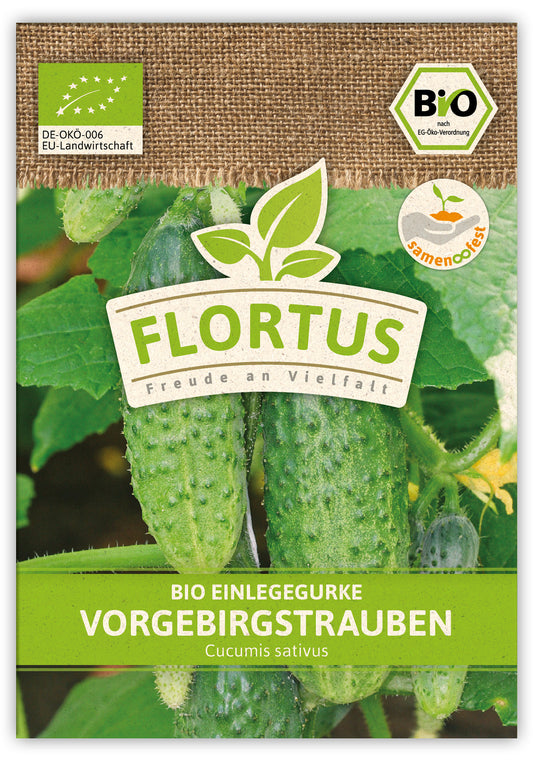 BIO Einlegegurke Vorgebirgstrauben (100 Stück)