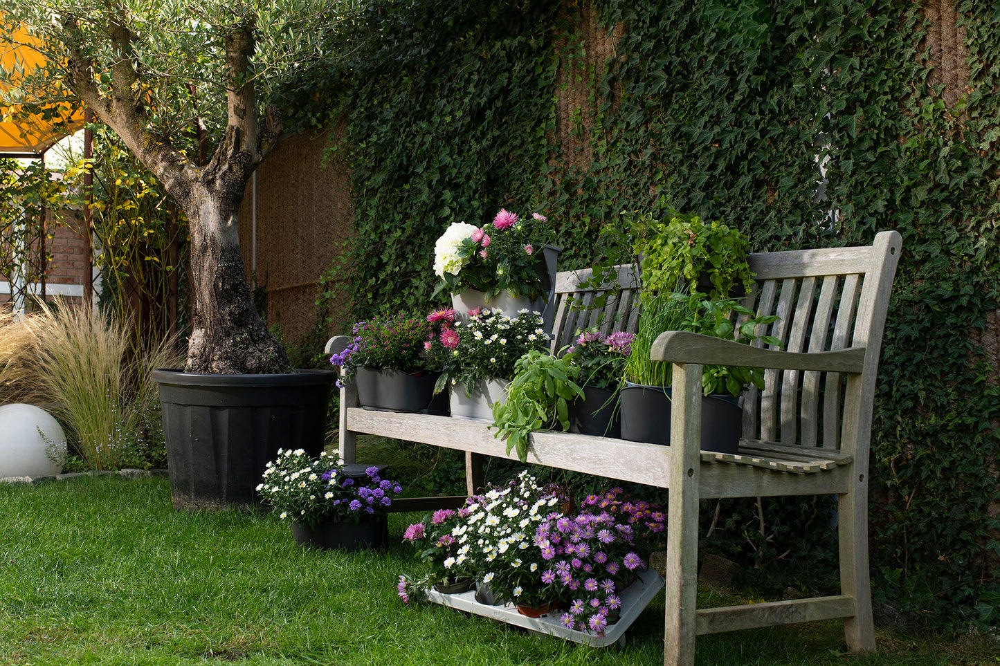 BoQube Flexi Garden Anthrazit