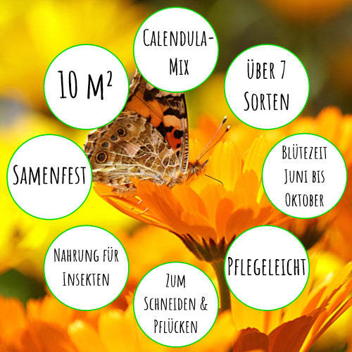 Sonnenschein Ringelblumen-Mix (20 G)