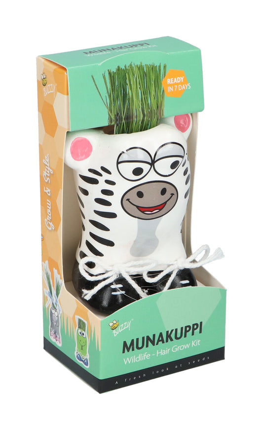 Anzuchtset Munakuppi Zebra