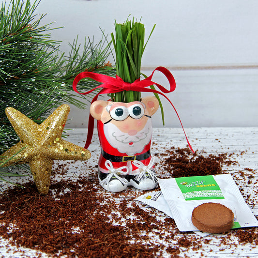 Anzuchtset Munakuppi Weihnachtsmann