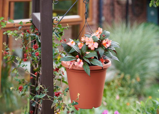 Aufhänger Für 30 Cm Blumentopf
