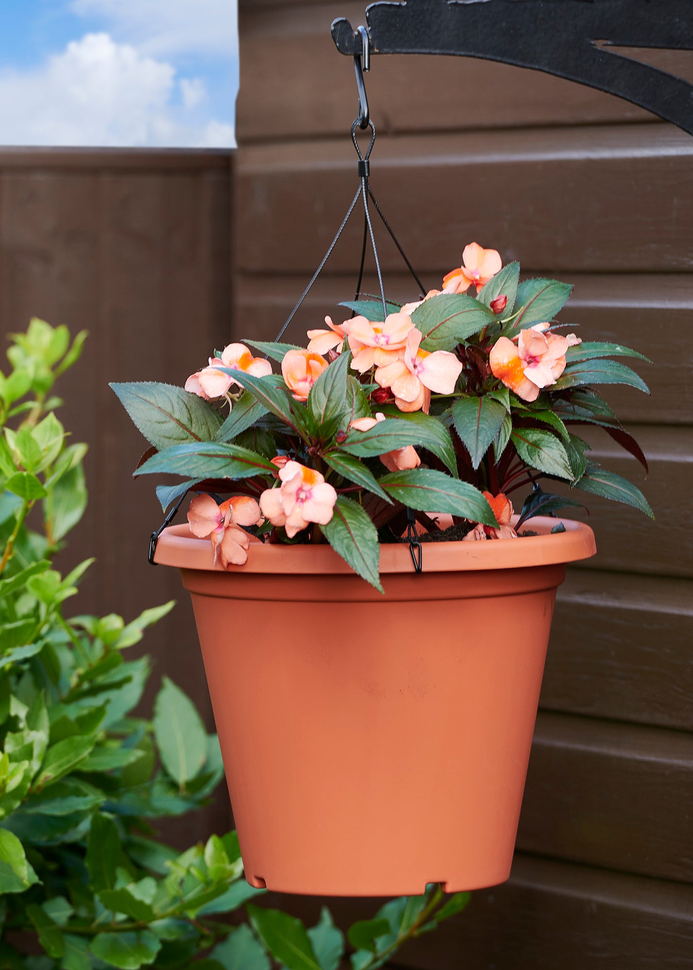 Aufhänger Für 30 Cm Blumentopf