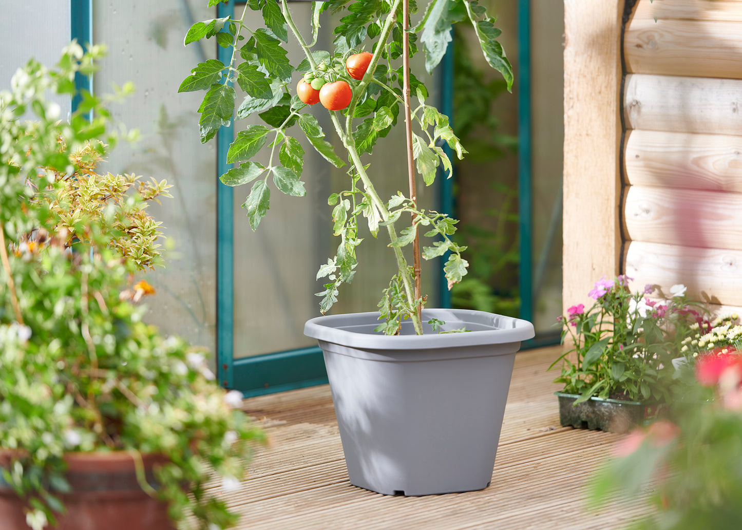 Tomatentopf Anthrazit