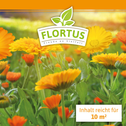 Ringelblumen Mischung