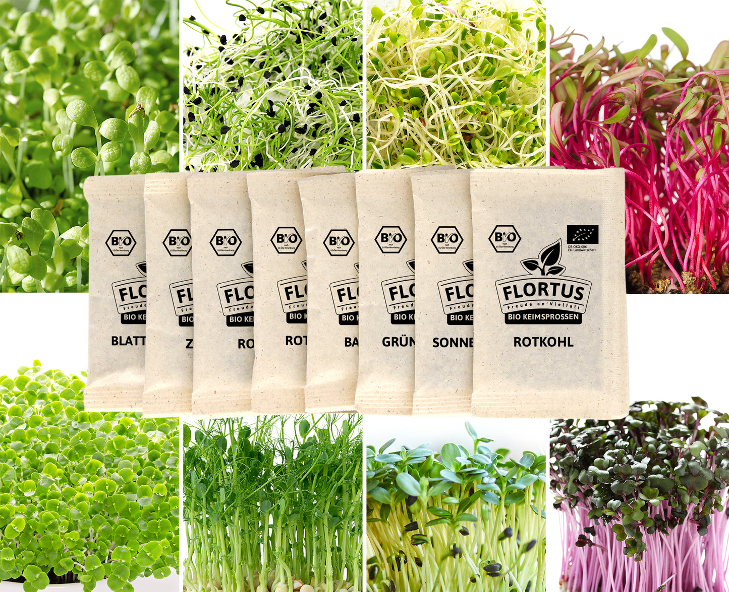 BIO Keimsprossen Set Fortgeschrittene (8 Sorten)