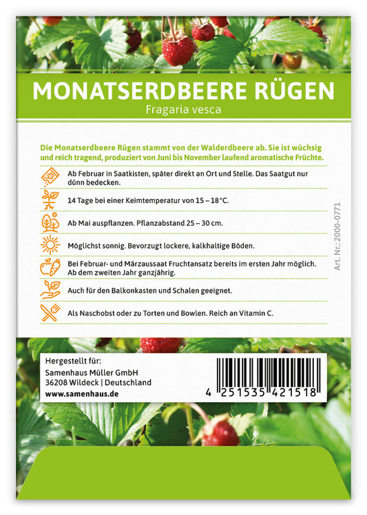 Monatserdbeere Rügen