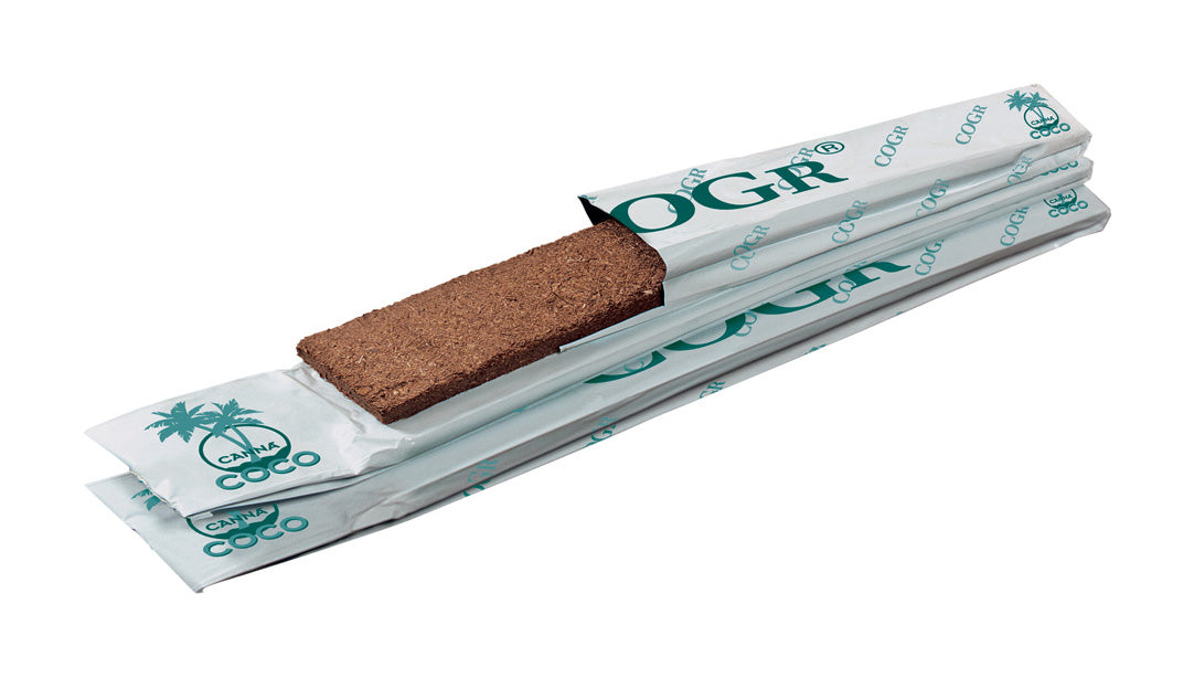 CANNA COGr Board, 1 M