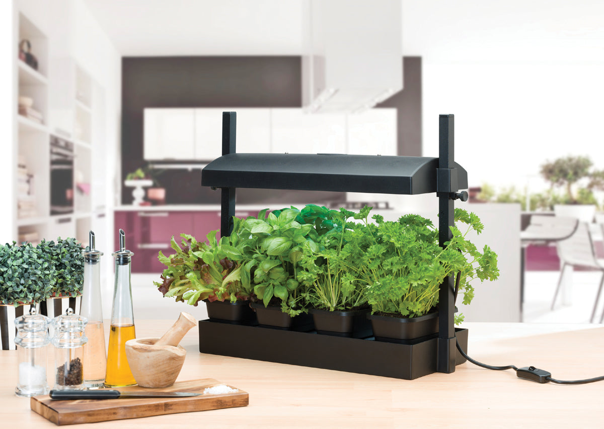 Micro Grow Light Garten