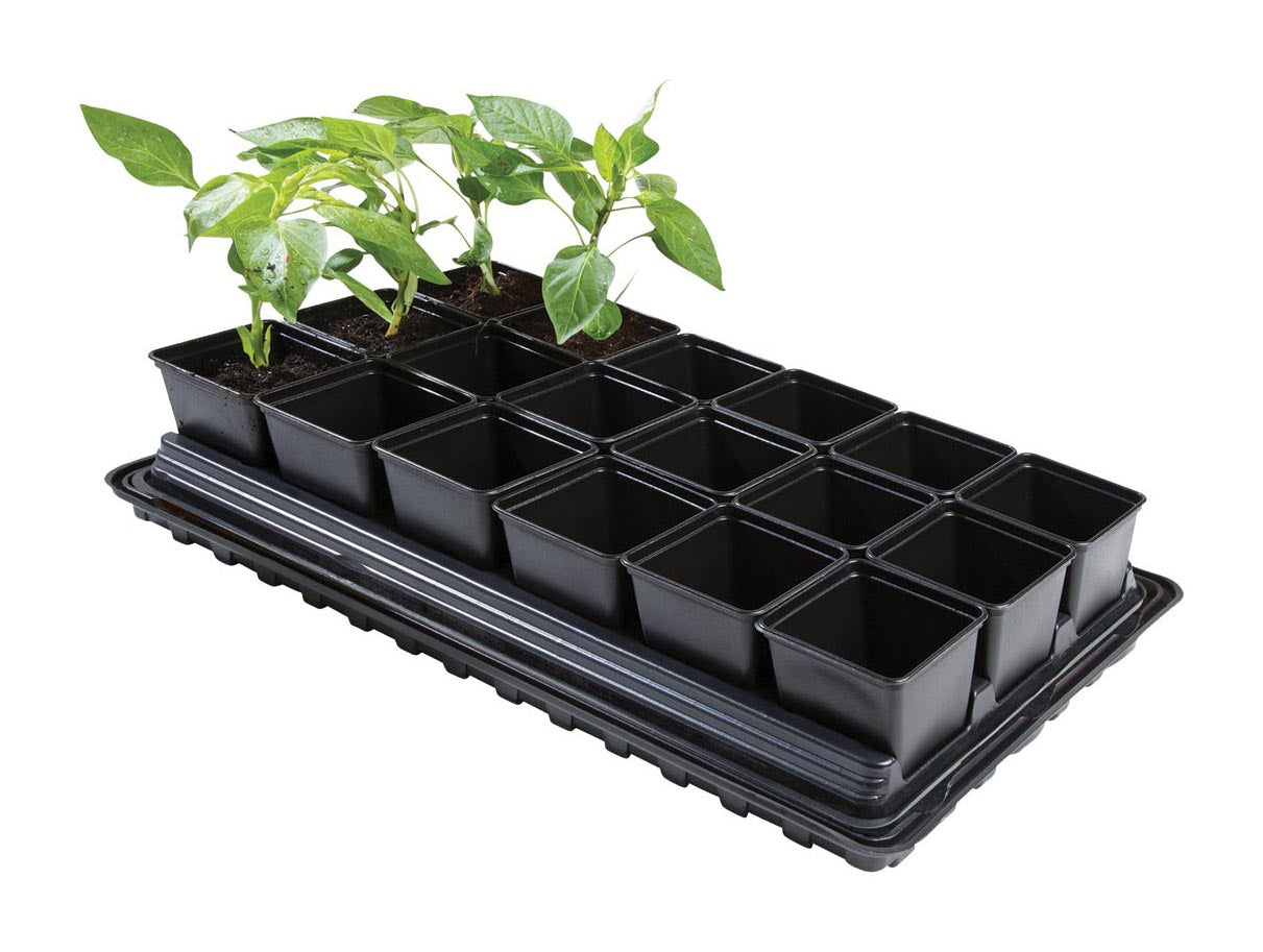 55 X 31 X 11 Cm Professionelles Anzucht-Komplettset Mittel Cap Mat Cap Mat) (18 Stück)