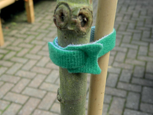 15 Cm Pflanzenbefestigung (10 Stück)