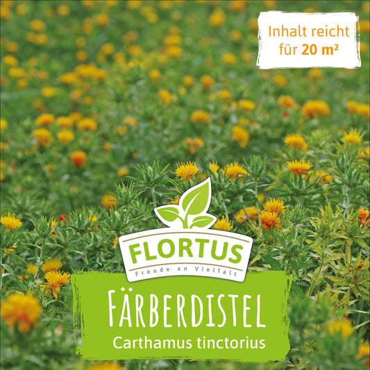 Wiesenblume Färberdistel (100 G)