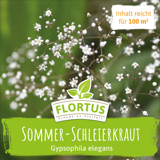 Wiesenblume Sommer Schleierkraut (100 G)