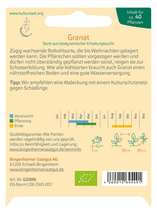 BIO Rotkohl Granat