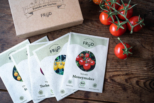 Fryd BIO Freiland-Tomaten-Set