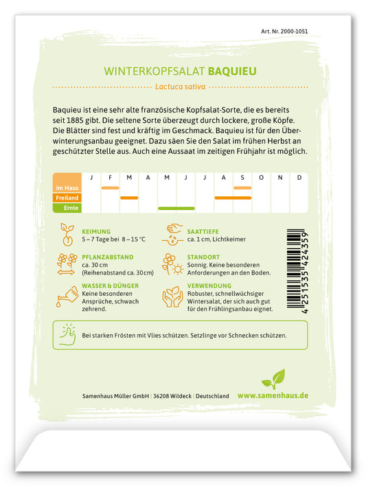 Winterkopfsalat Baquieu