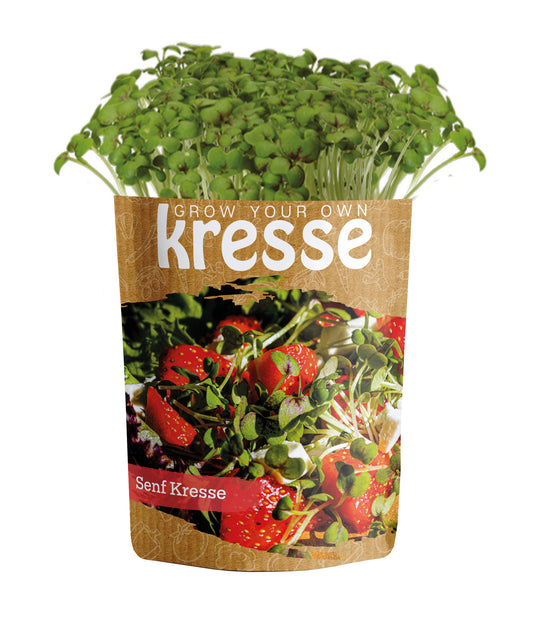 Grow Your Own Kressen Senfkresse
