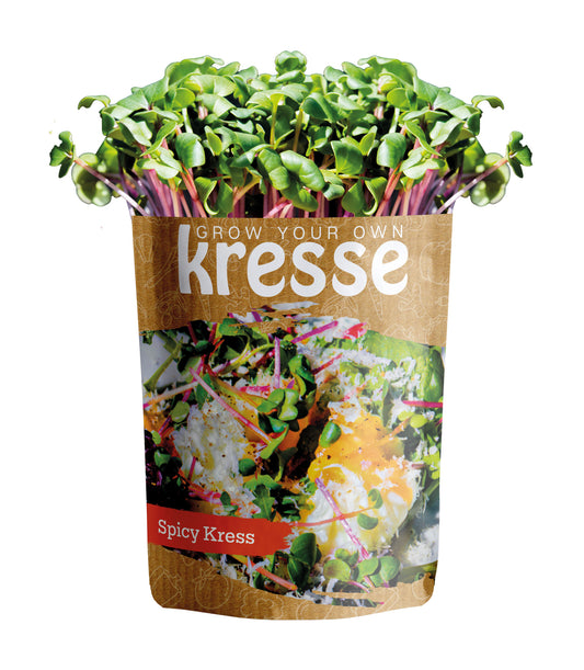 Grow Your Own Kressen Spicy Kresse