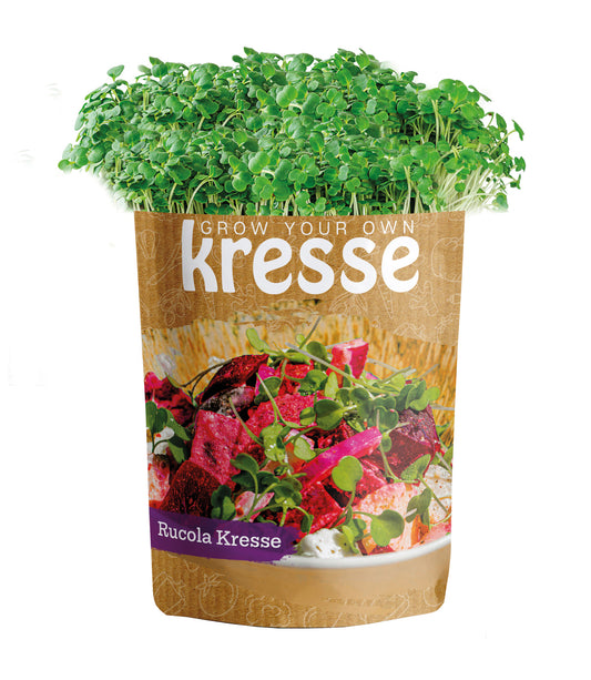 Grow Your Own Kressen Rucola - Kresse