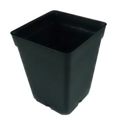 TEKU Topf, Viereckig, 3,5 L, 15 X 15 X 20 Cm