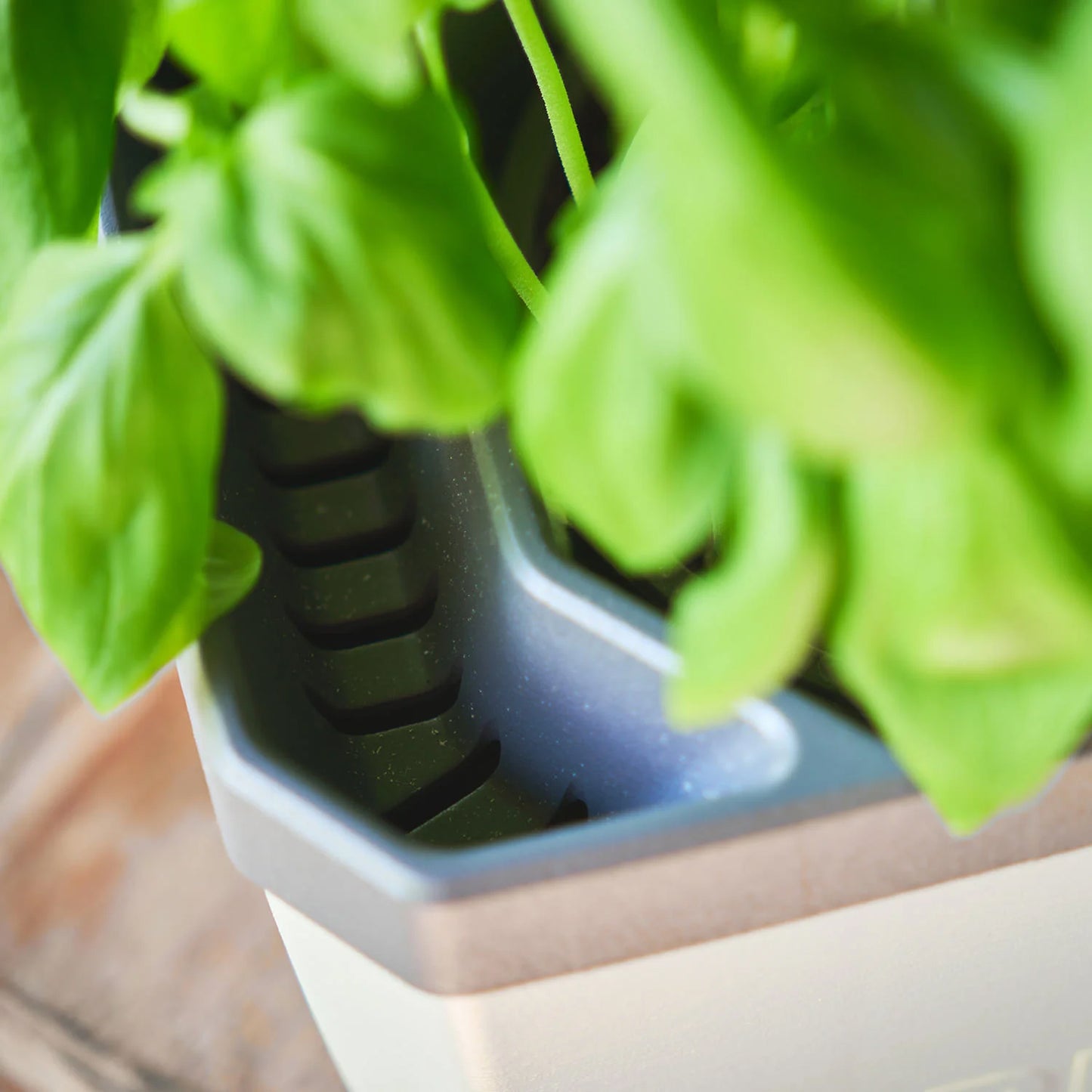 HERBS BUDDY Kräutertopf Weiß