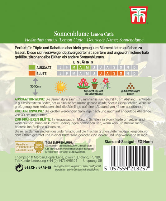 Sonnenblume Lemon Cutie F1