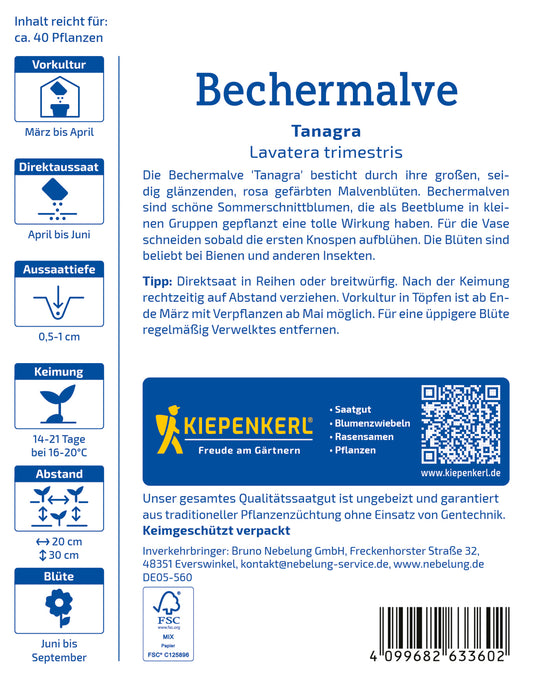 Bechermalve Tanagra