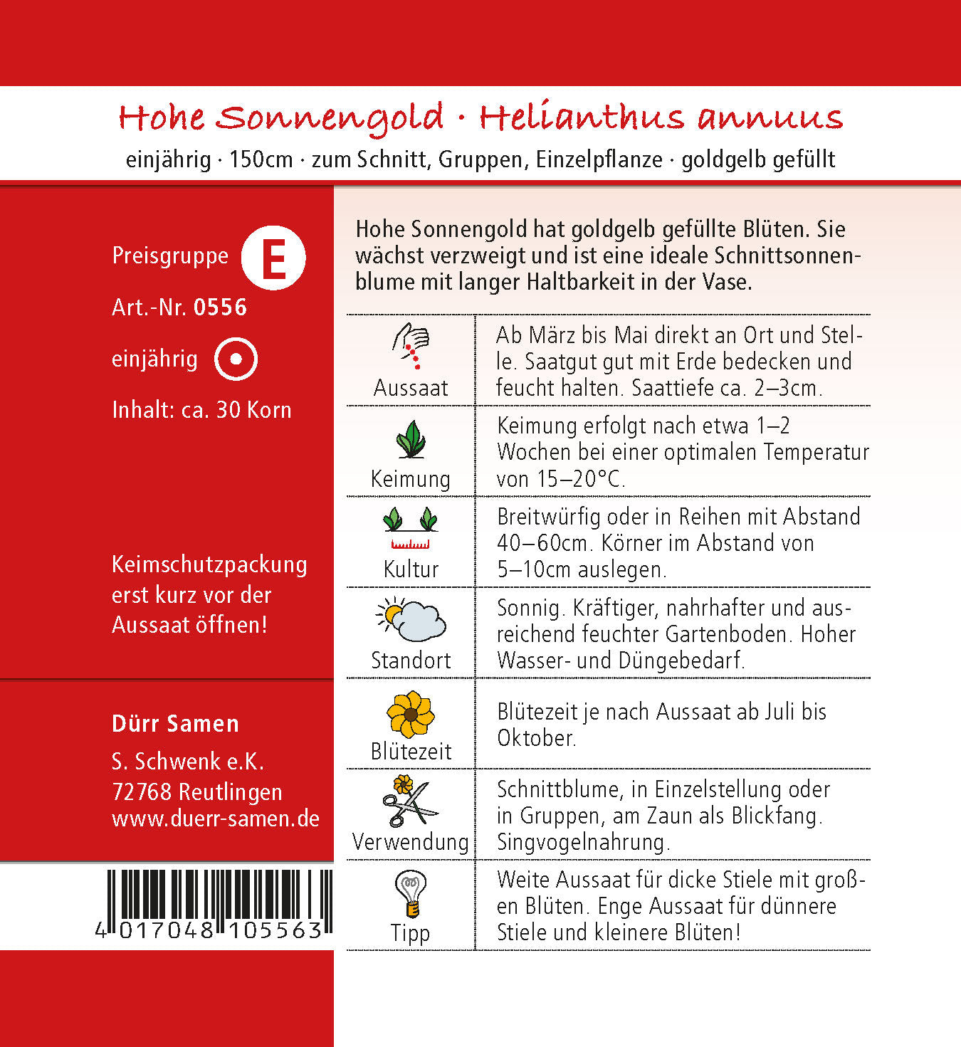  Sonnenblume Hohe Sonnengold