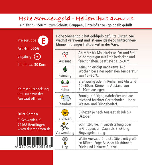  Sonnenblume Hohe Sonnengold