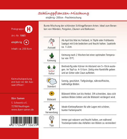  Schlingpflanze Mischung