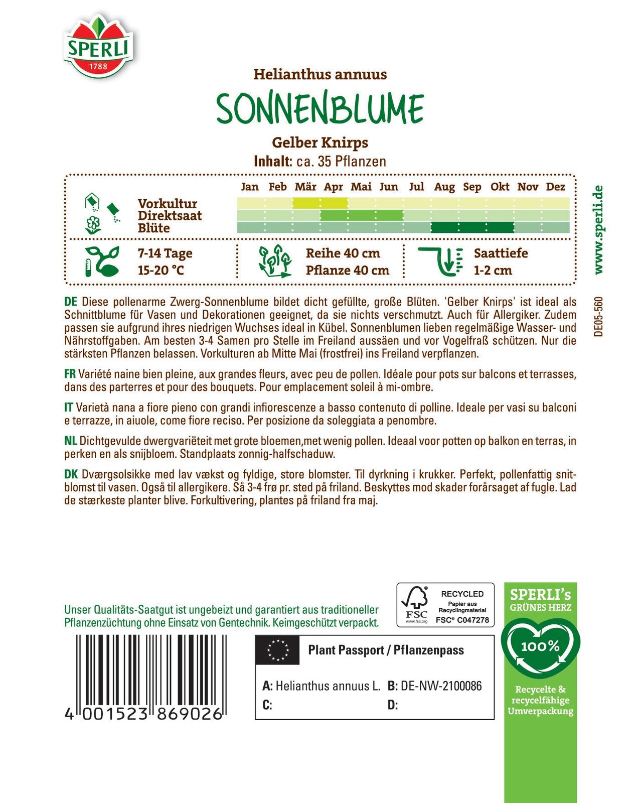  Zwerg-Sonnenblume Gelber Knirps