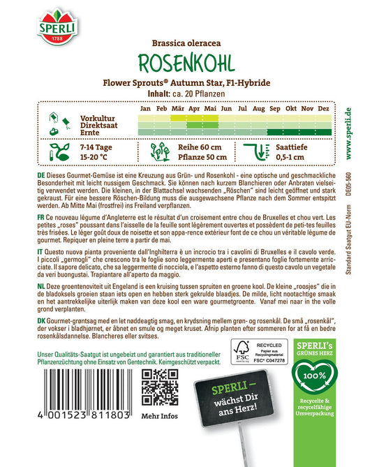  Rosenkohl Flower Sprouts Autumn Star F1