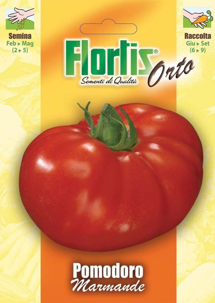  Tomate Marmande