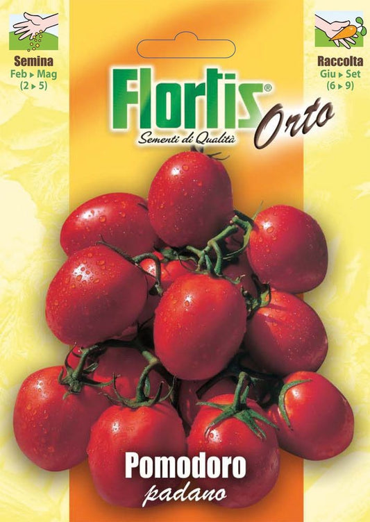  Tomate Padano