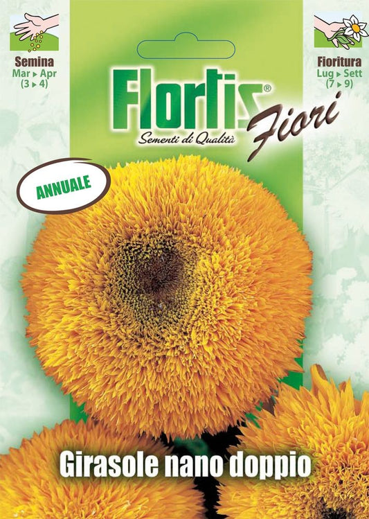  Zwerg Sonnenblume Sungold