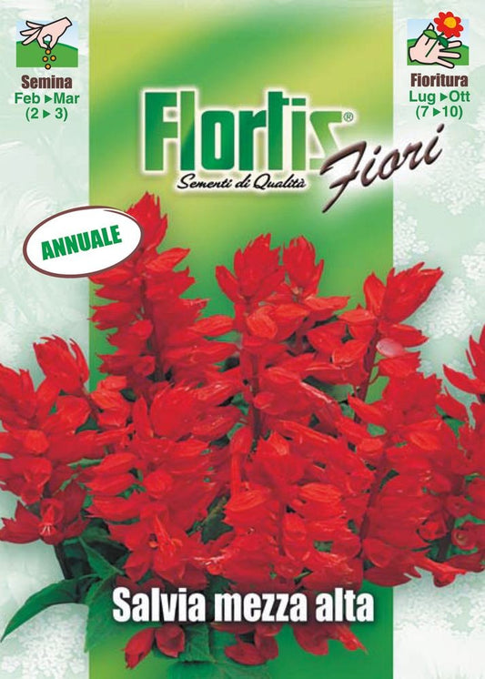  Feuersalbei