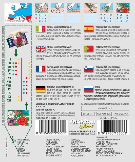  Eisenkraut Grandiflora Mehrfarbig