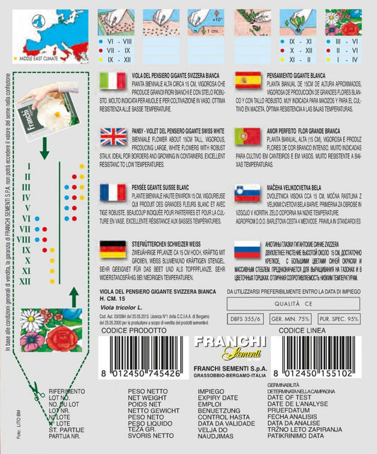  Stiefmütterchen Schweizer Weiß
