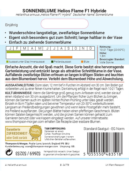  Sonnenblume Helios Flame F1 Hybride