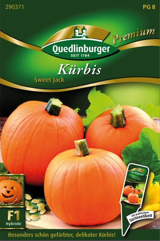  Kürbis Sweet Jack