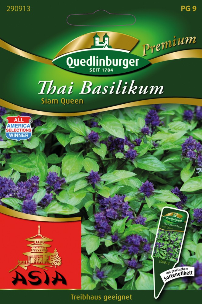  Thai-Basilikum Siam Queen