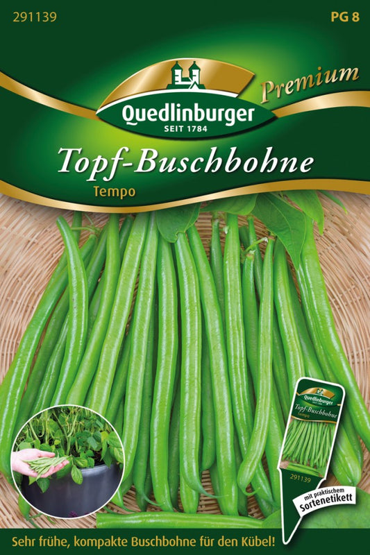  Topf-Buschbohnen Tempo Von Quedlinburger Saatgut