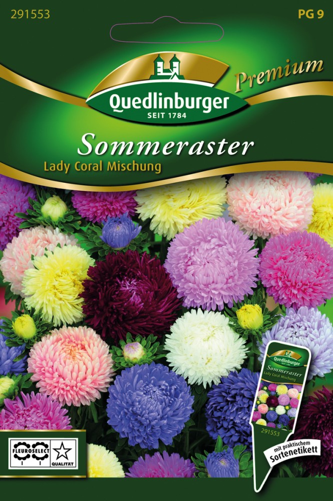  Sommerastern Lady Coral Mischung