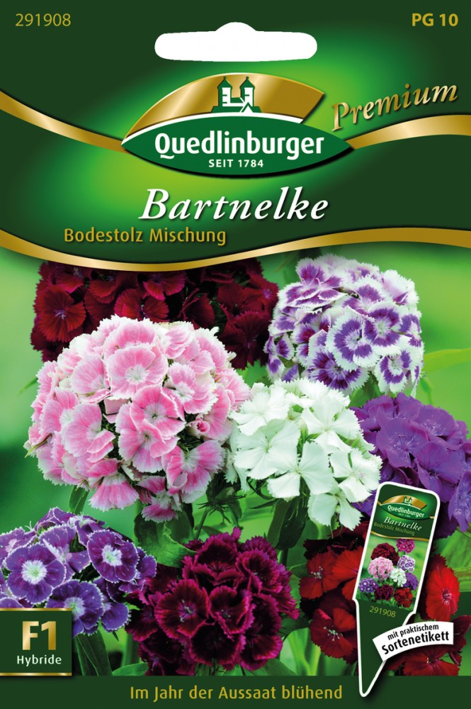  Bartnelken Bodestolz Mischung
