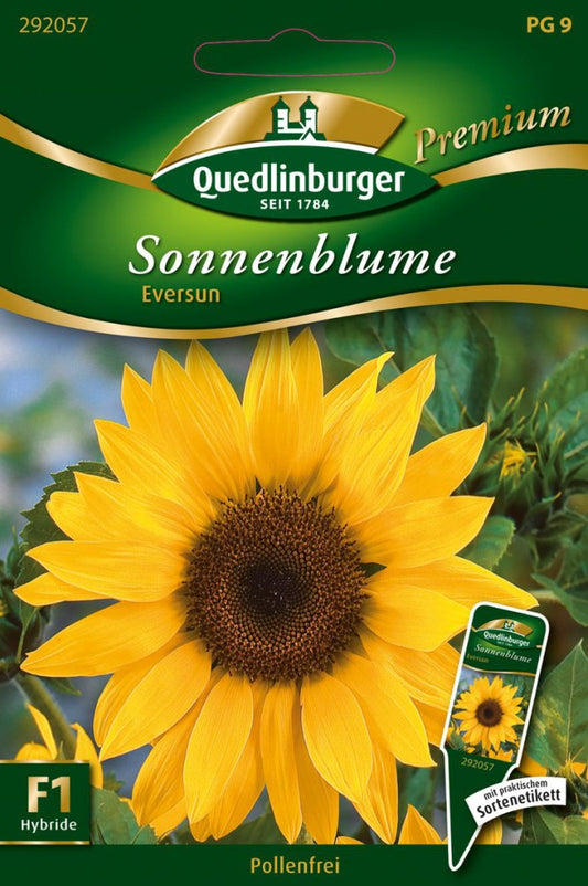  Sonnenblumen Eversun